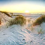Forest & Sea Retreat With Pool Palanga