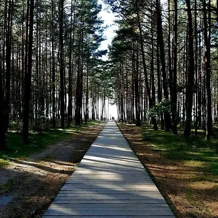Forest & Sea Retreat With Pool Butas *