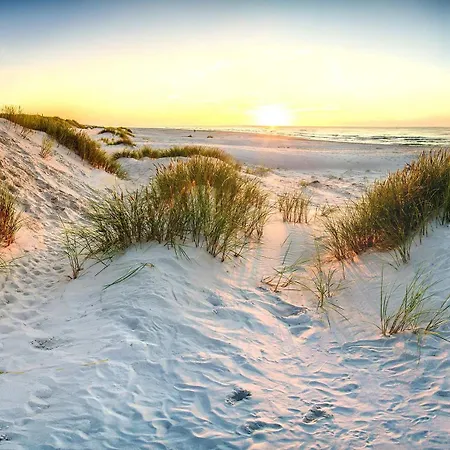 Zalia Kopa Near The Palanga