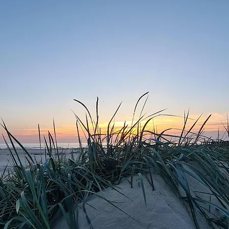 Apartamento Zalia Kopa Near The