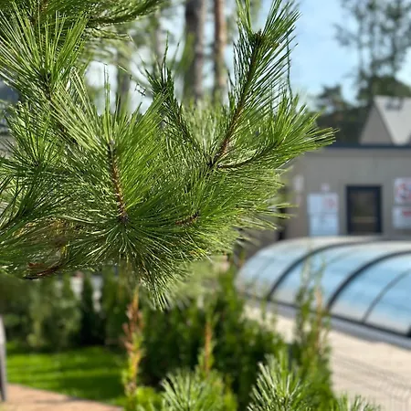 Holiday home Forest & Sea Retreat With Pool *