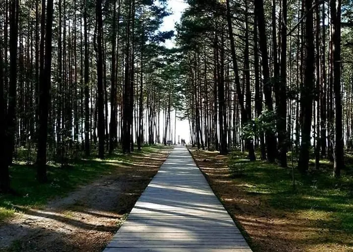 Zalia Kopa Near The Appartamento *