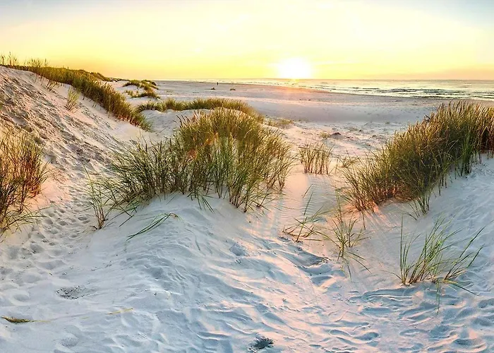 Zalia Kopa Near The Palanga