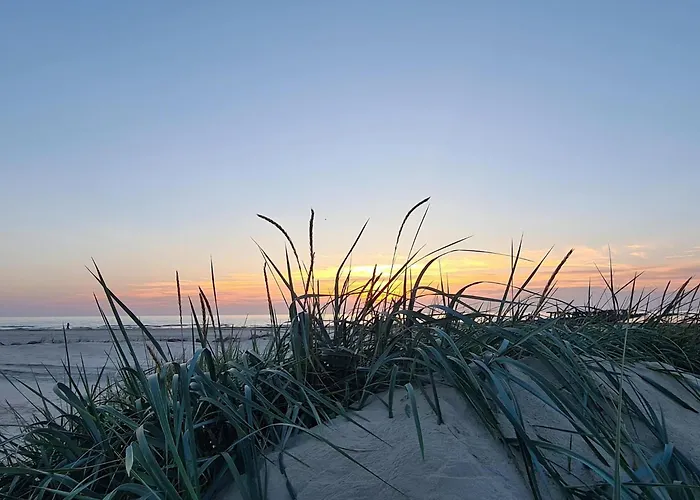 דירה Zalia Kopa Near The